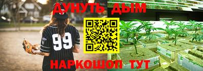 каннабис Кингисепп
