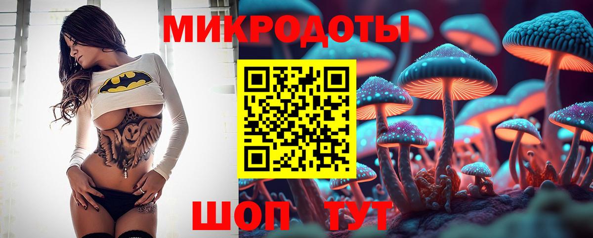 Кандалакша  Псилоцибиновые грибы ЛСД  Галлюциногенные грибы Cubensis  как найти наркотики  Вход с VPN 